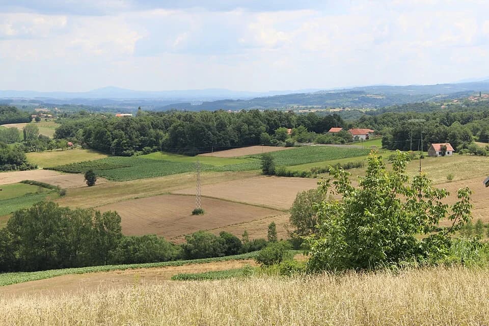 Dračić
