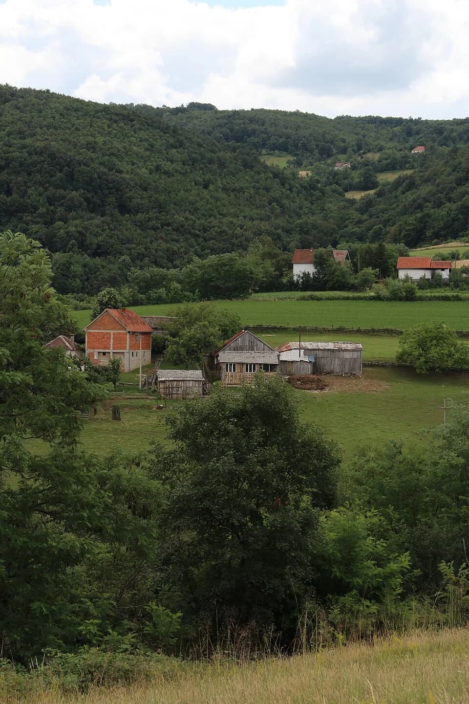 Ravnje