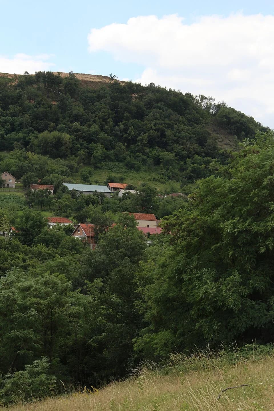 Ravnje