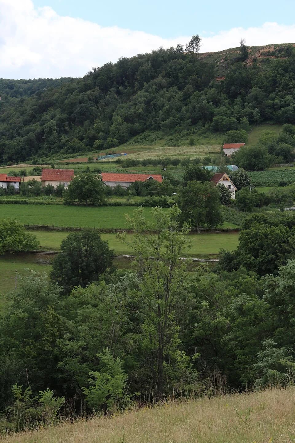 Ravnje