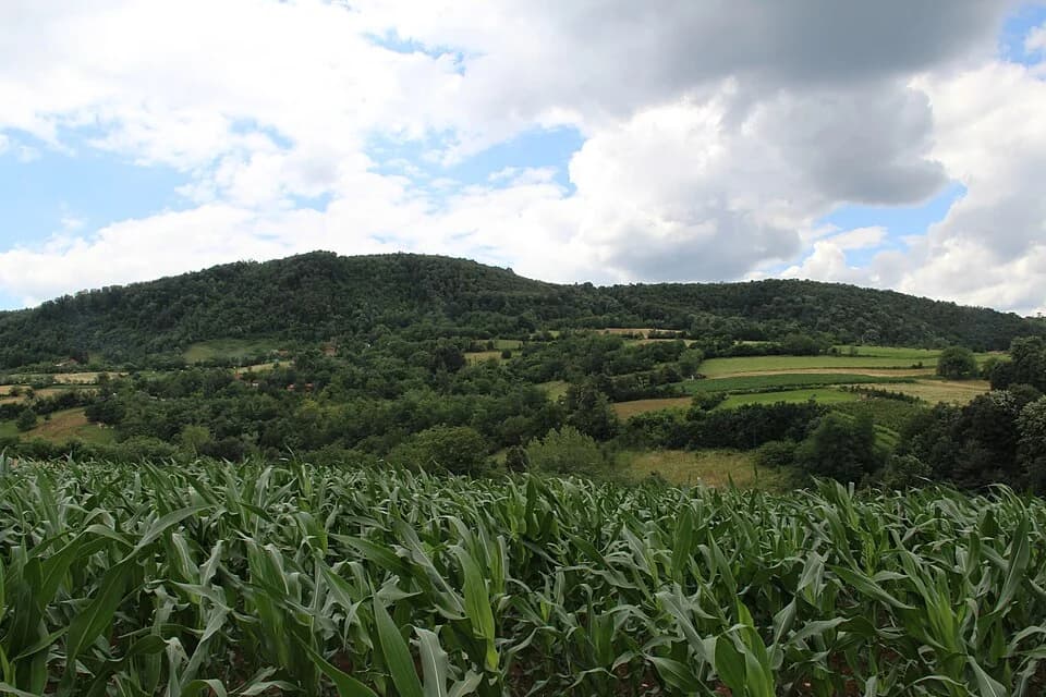 Ravnje