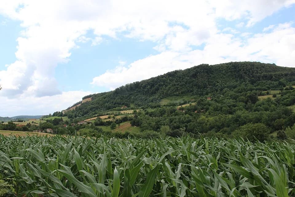 Ravnje