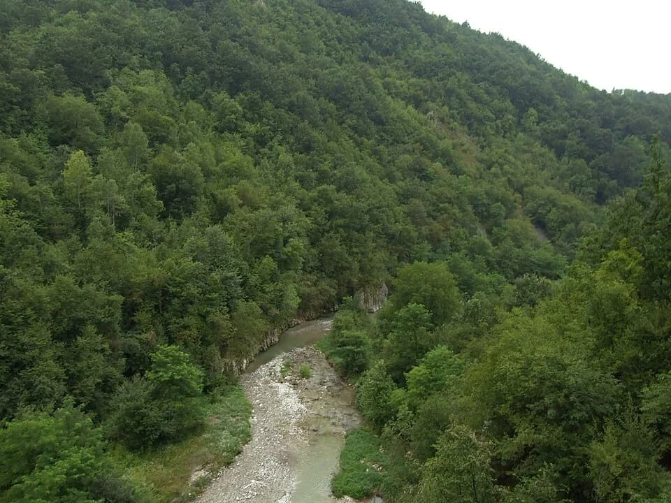 Lelić