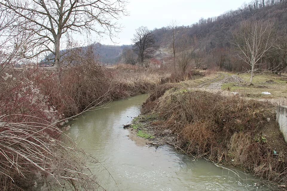 Mrčić