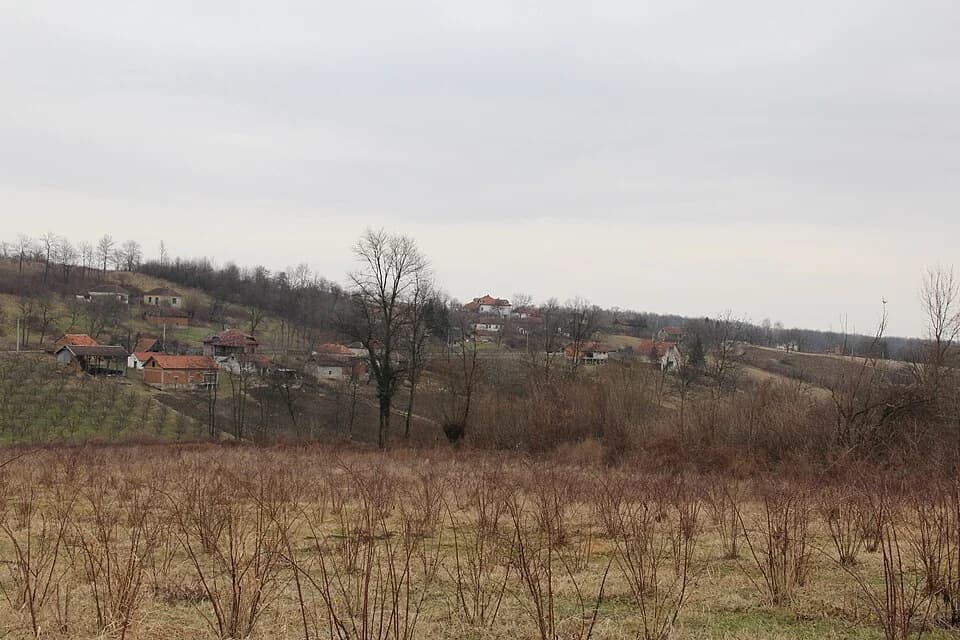 Mrčić