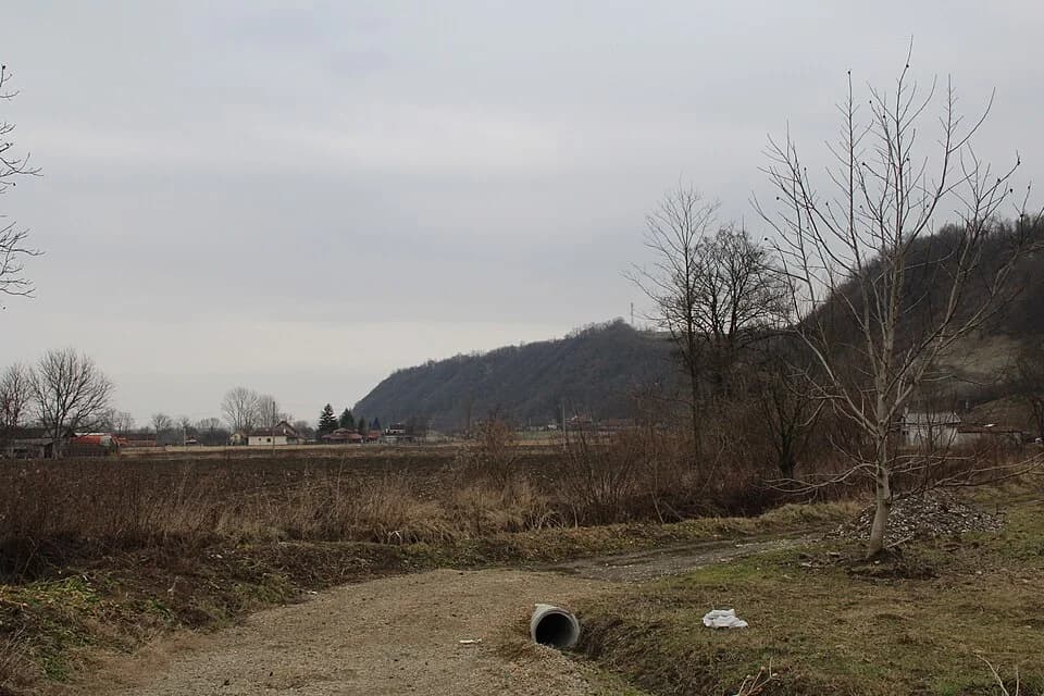 Mrčić