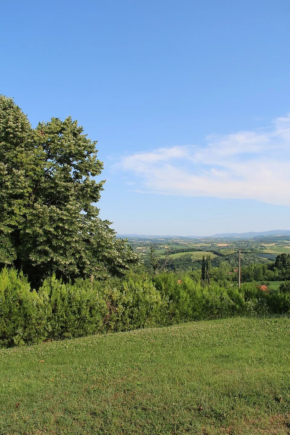Mrčić