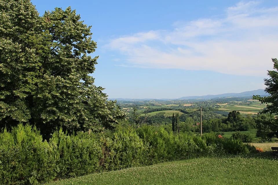 Mrčić