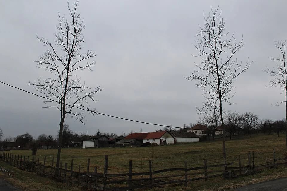 Mrčić