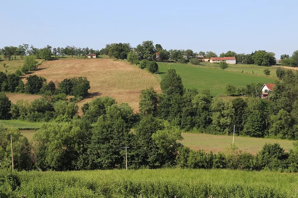 Mrčić
