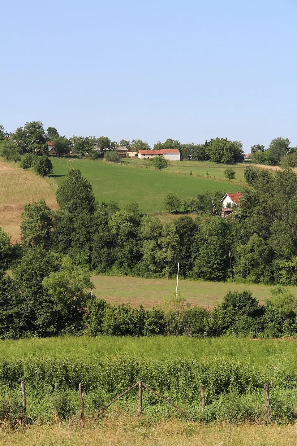 Mrčić