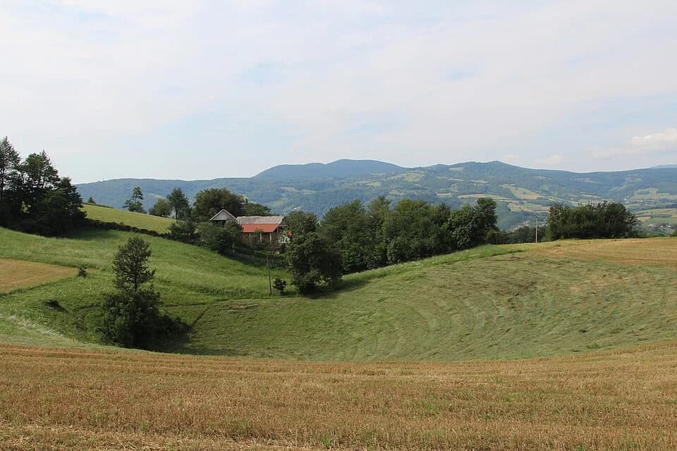 Bačevci