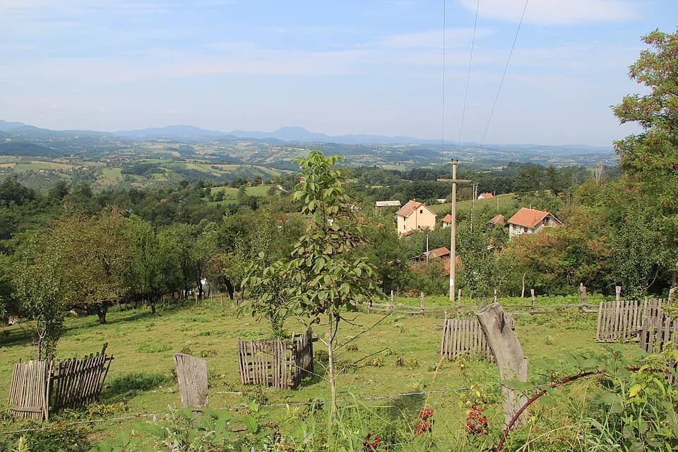 Bačevci