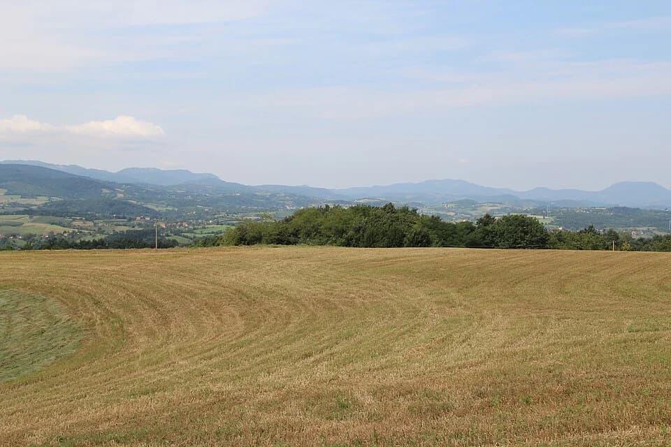Bačevci