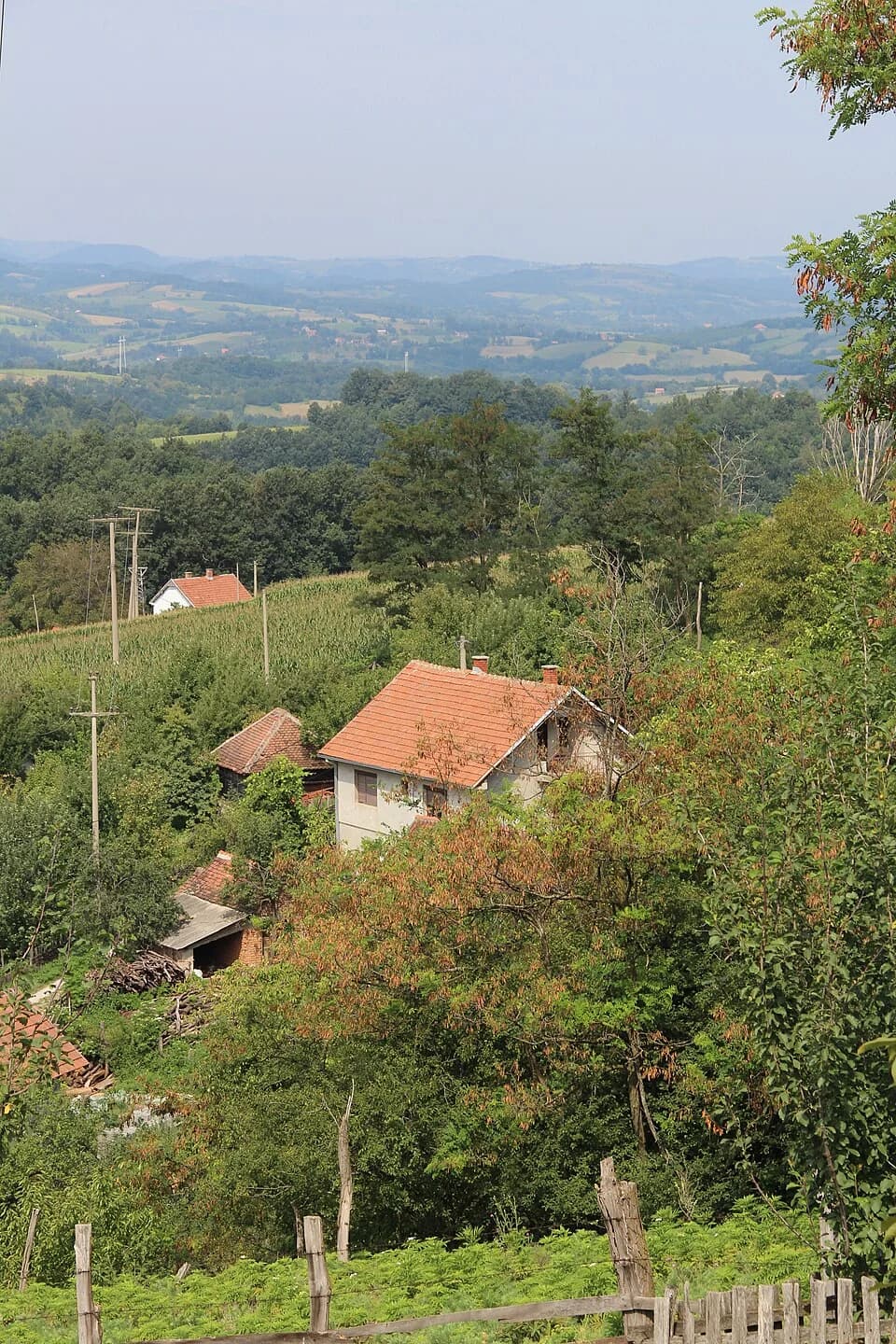 Bačevci