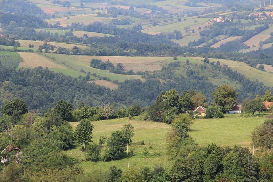 Bačevci