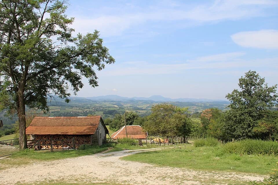 Bačevci