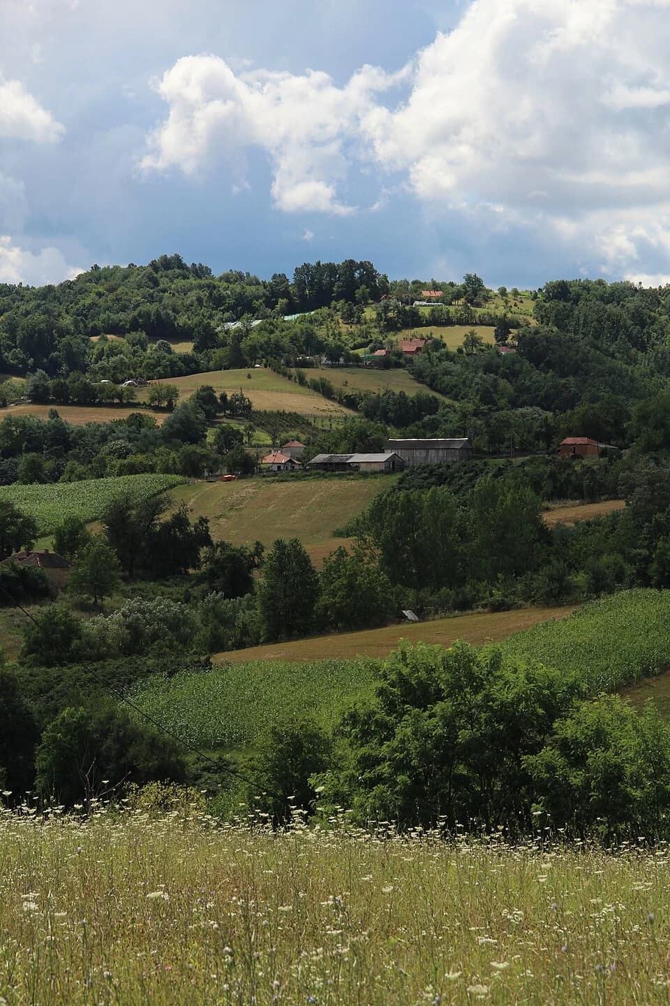 Pričević
