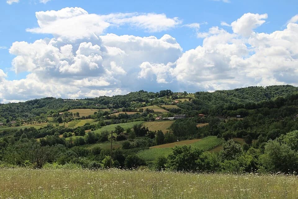 Pričević
