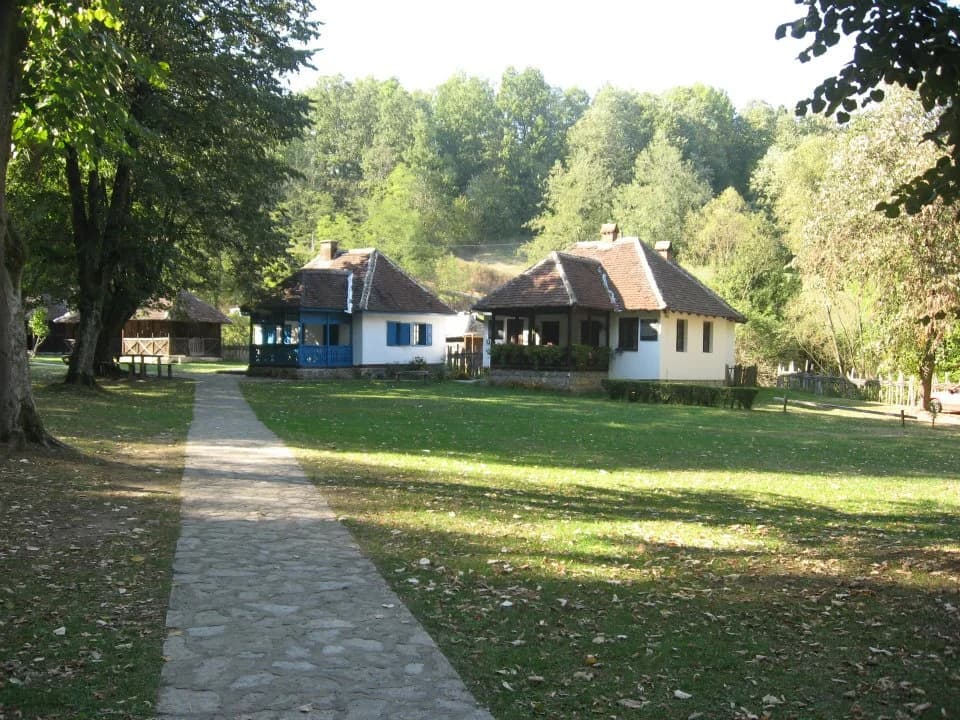 Brankovina