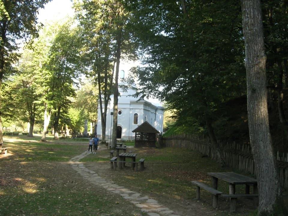 Brankovina