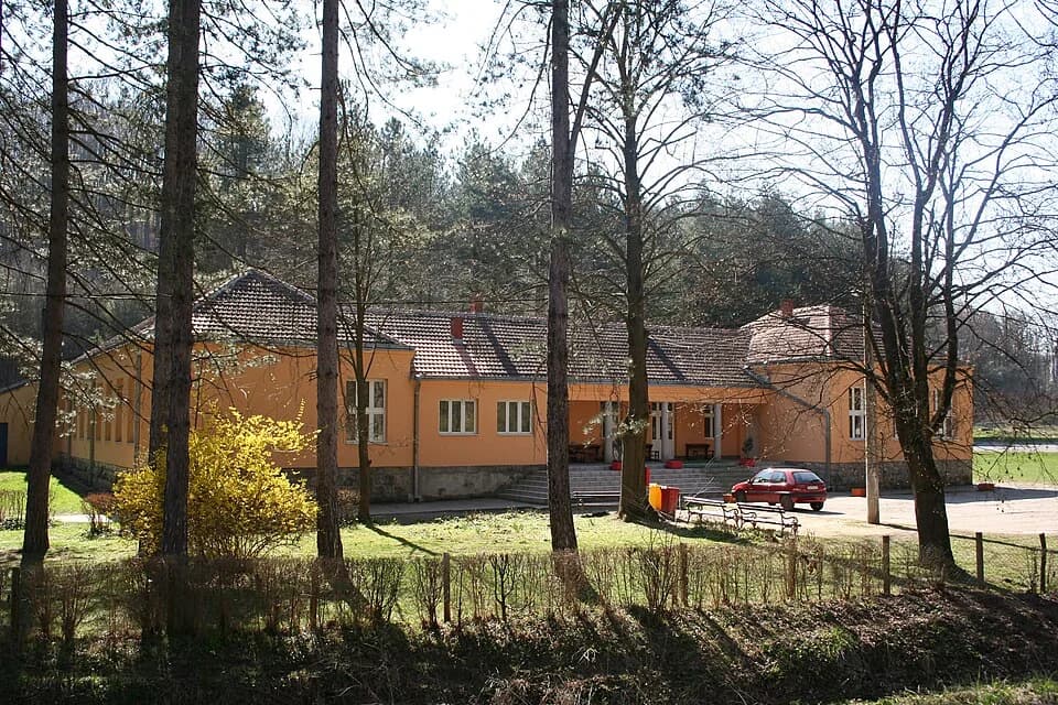 Brankovina