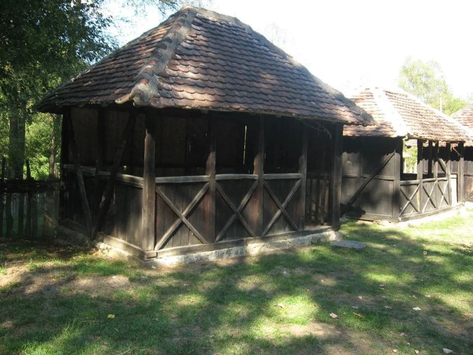 Brankovina