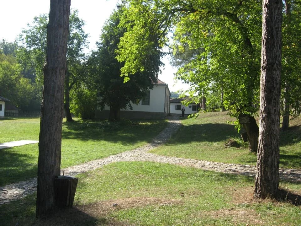 Brankovina