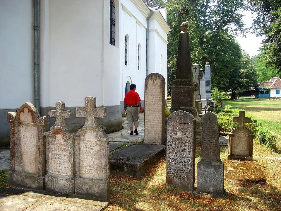 Brankovina