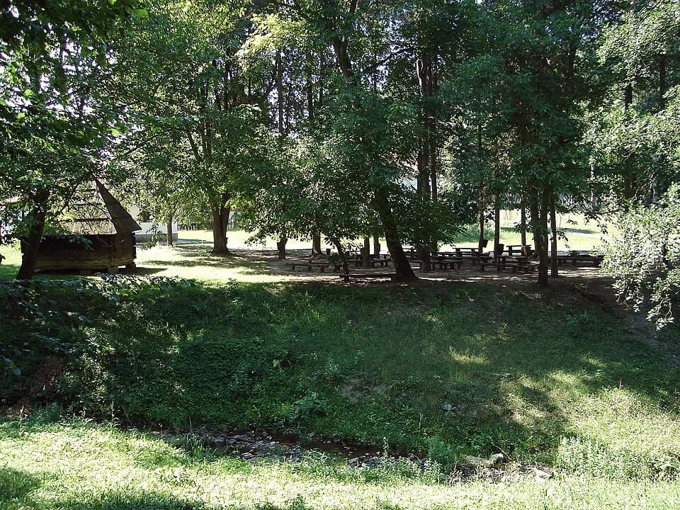 Brankovina