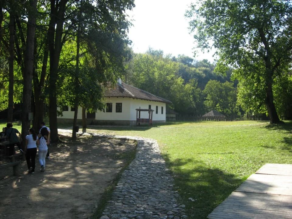 Brankovina