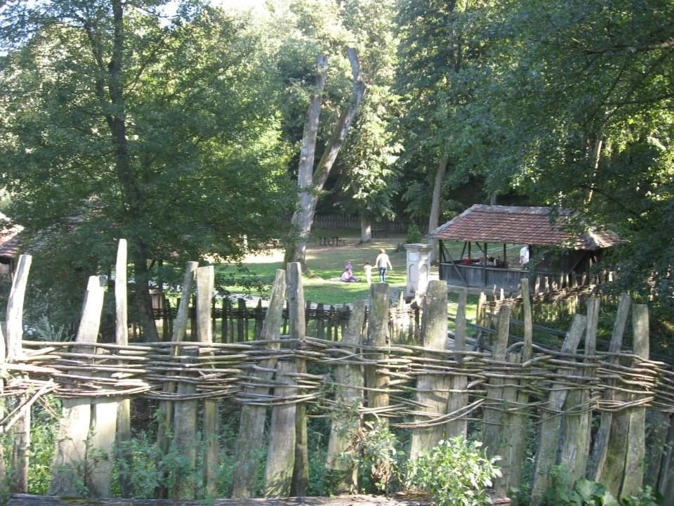Brankovina