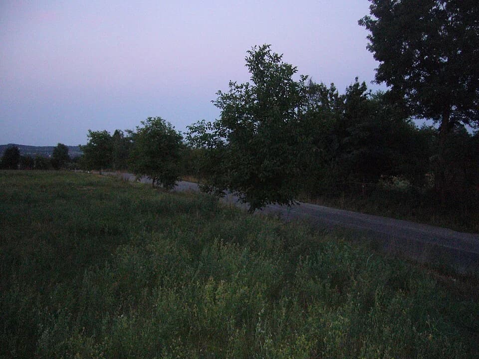 Popučke