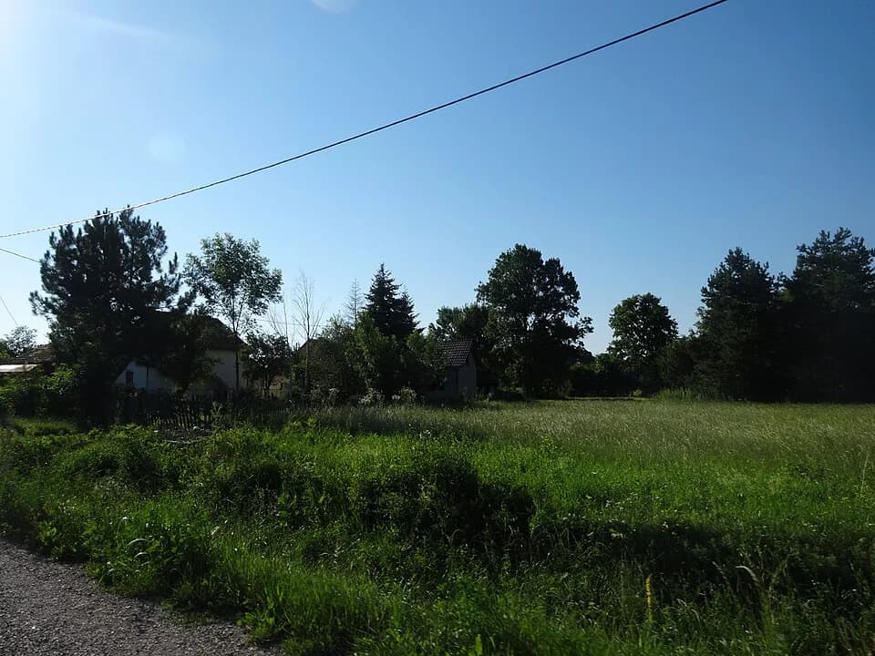 Popučke