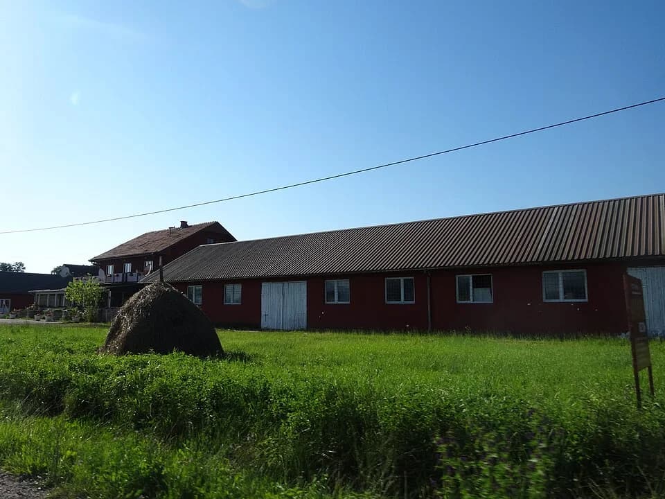 Popučke