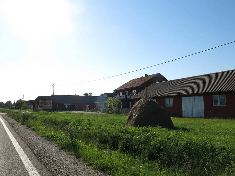 Popučke