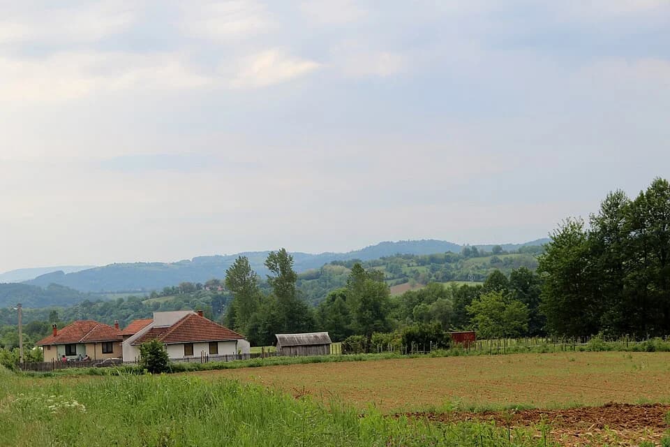 Donja Bukovica