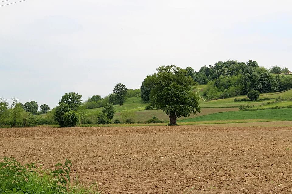 Donja Bukovica