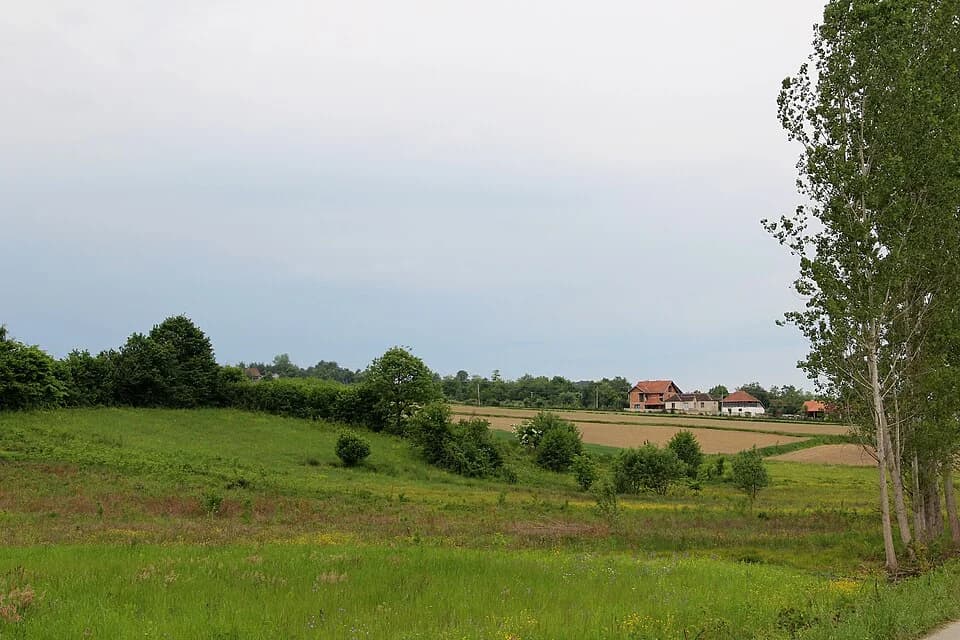 Donja Bukovica
