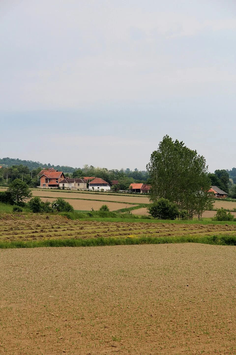 Donja Bukovica