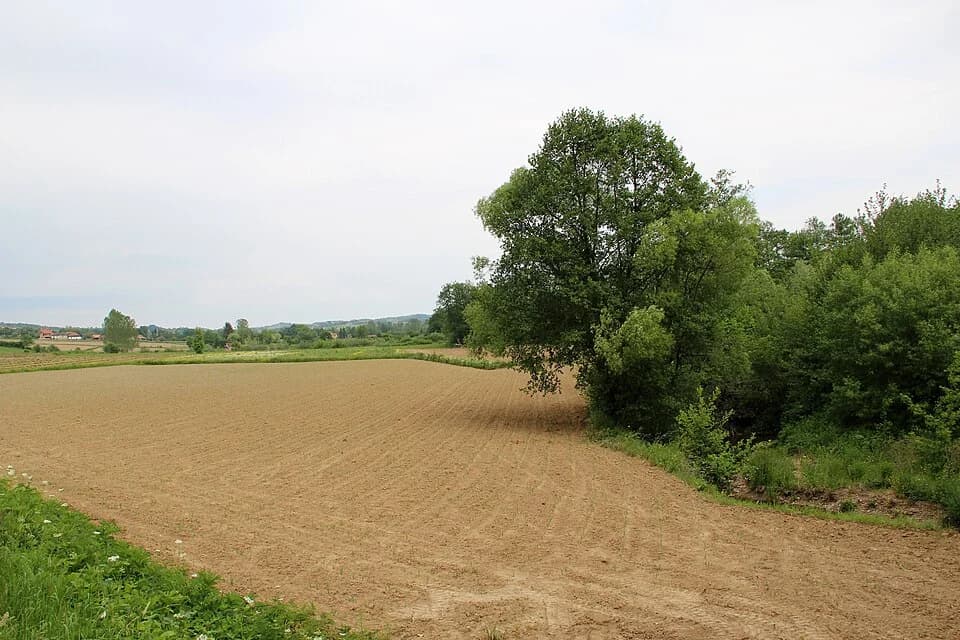 Donja Bukovica