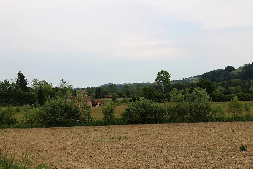 Donja Bukovica