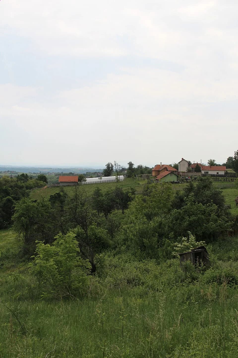 Kotešica