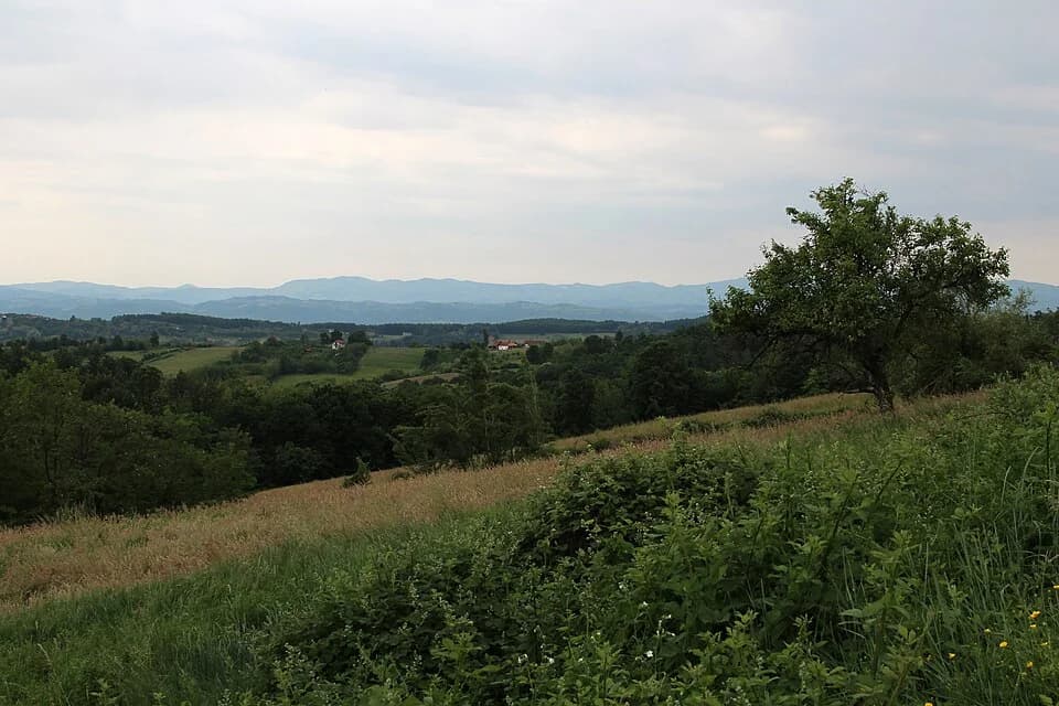 Kotešica