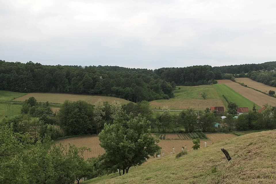 Kotešica