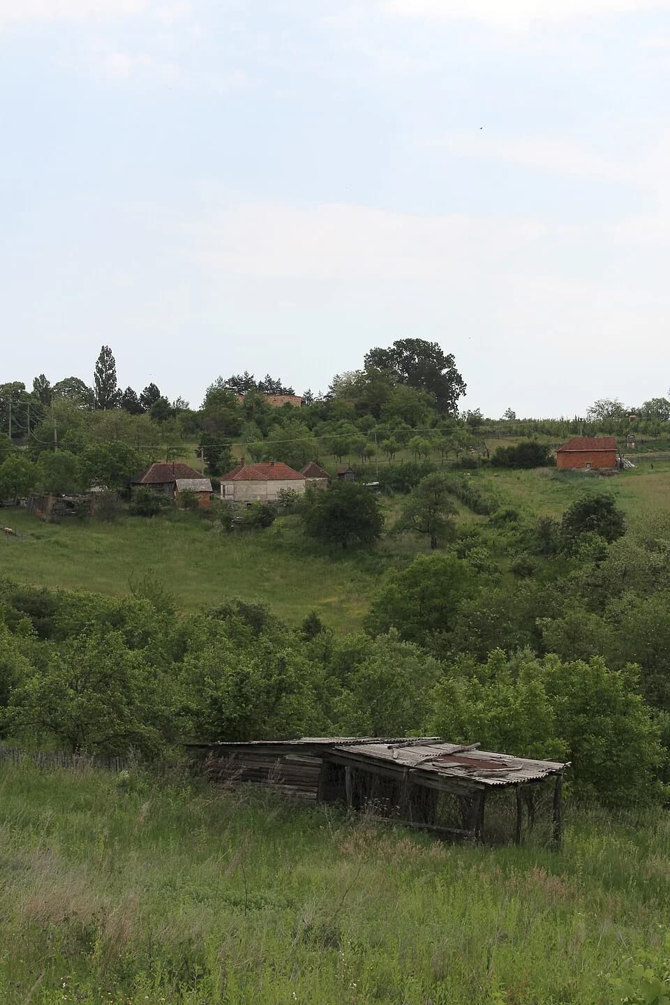 Kotešica