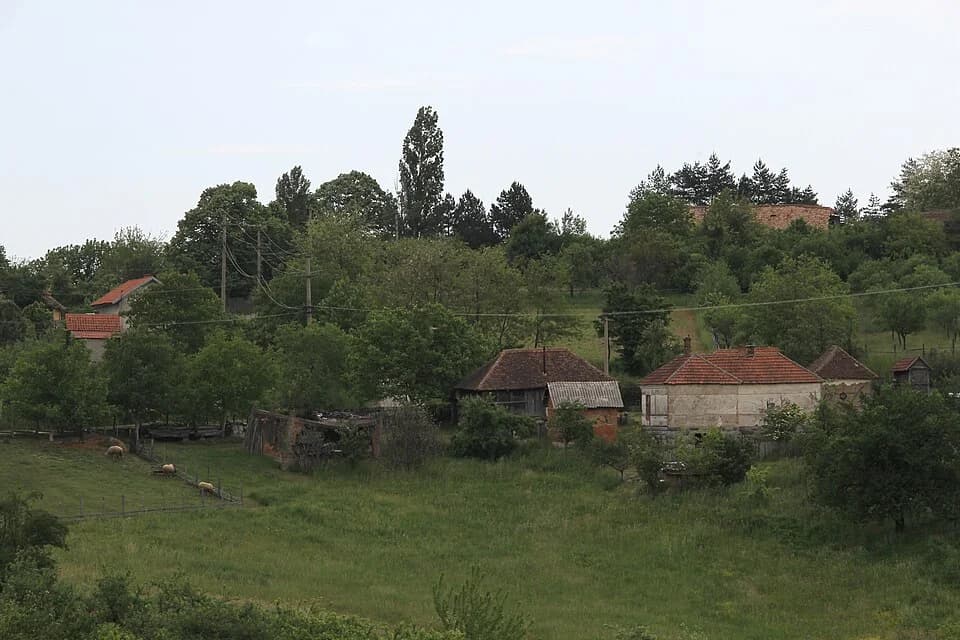 Kotešica