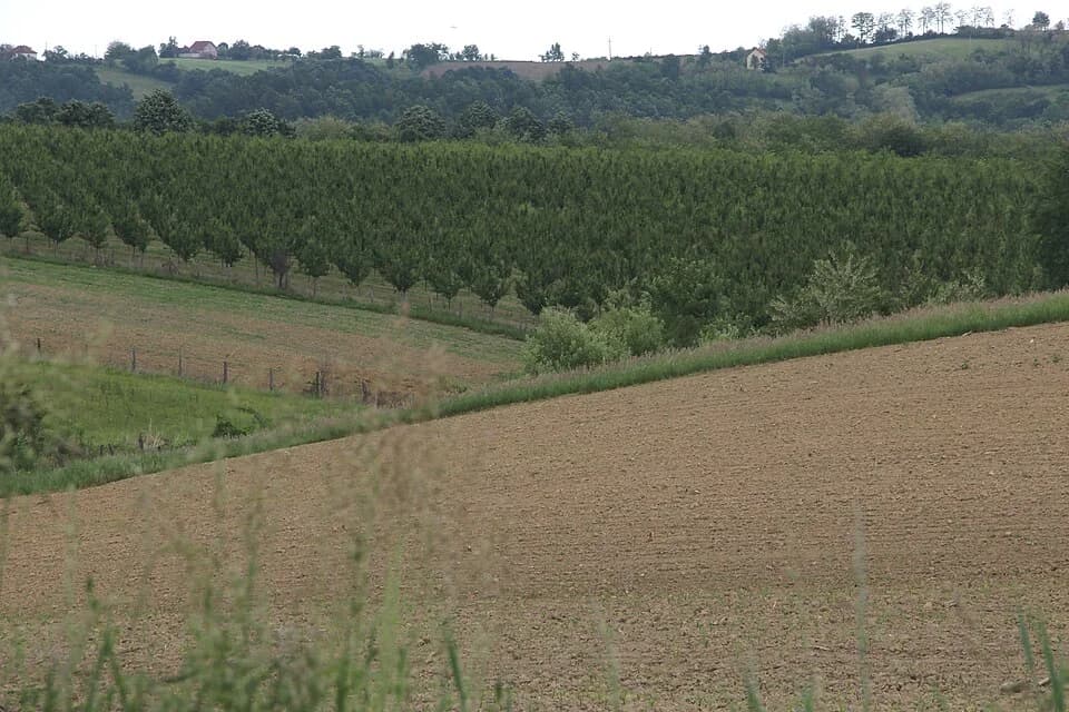 Kotešica