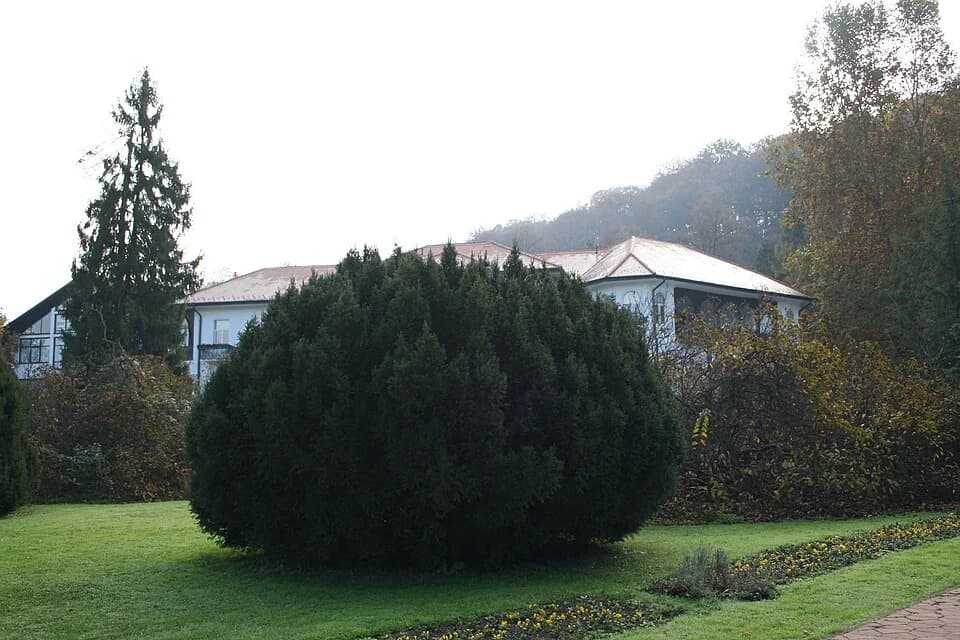 Banja Koviljača