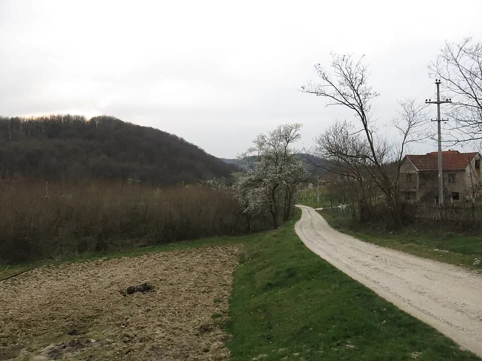 Čokešina